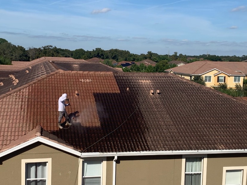 Mejias Painting Services Inc